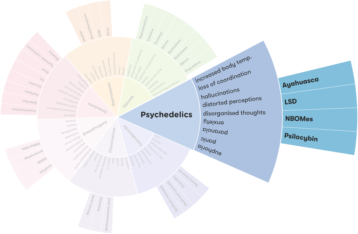 Types of Psychedelic Drugs And how they react / Work